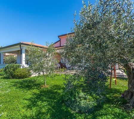 Apartment Liam Novigrad Istria Buitenkant foto